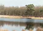 20040317 hoogeveen0002